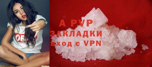 соль ск Няндома