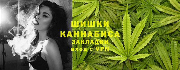 соль ск Няндома