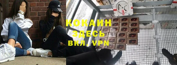 соль ск Няндома