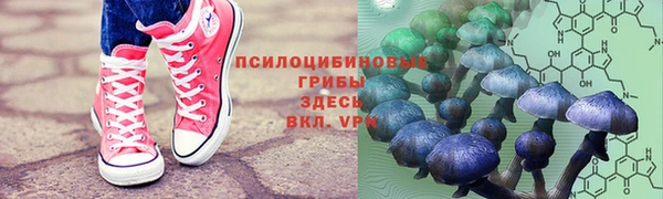 соль ск Няндома