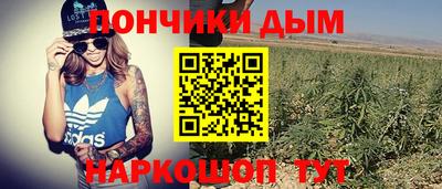 крисы Дубна