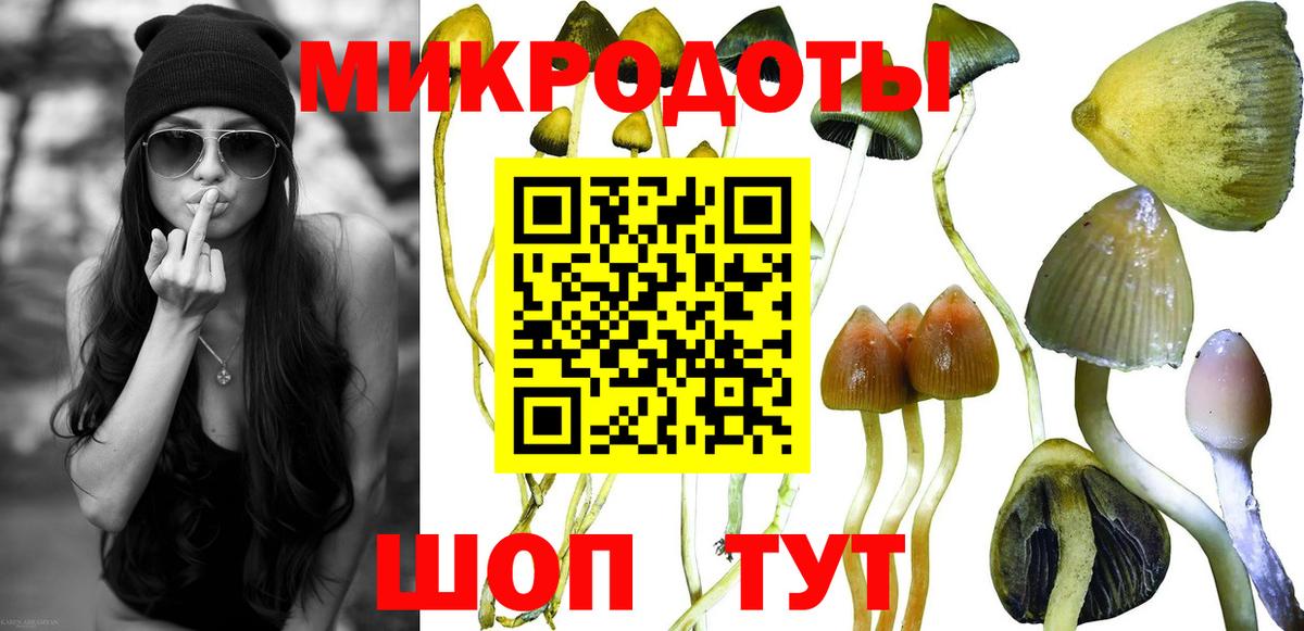 Галлюциногенные грибы Cubensis Арсеньев