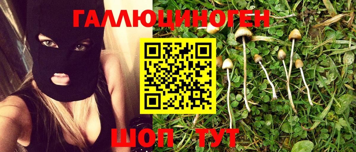 Галлюциногенные грибы Psilocybe Арсеньев
